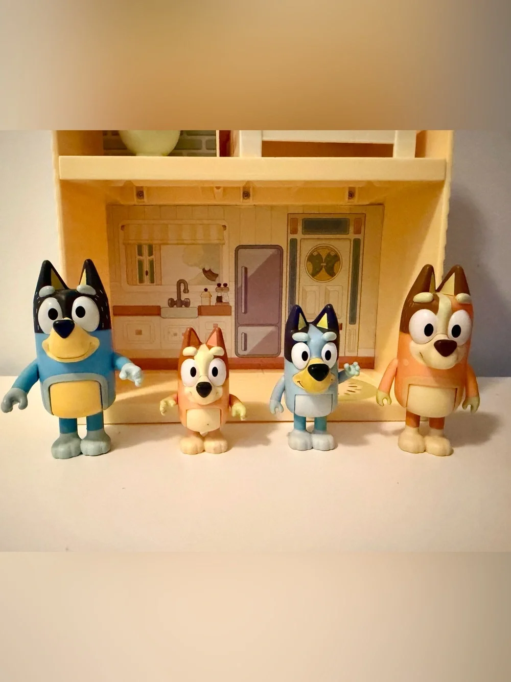 Bluey small house